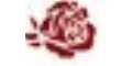 Lady Vintage vouchers + cashback Lady Vintage vouchers + cashback